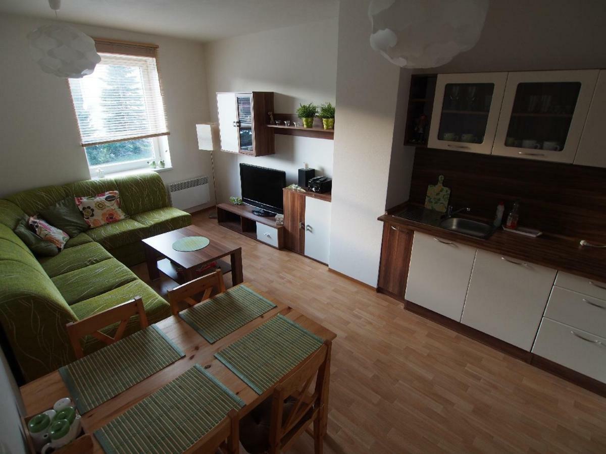 Apartman V Destnem Apartment Destne v Orlickych horach Bagian luar foto